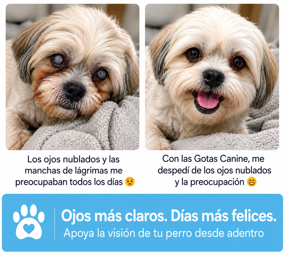 ClearVision™ Gotas Diarias para la Salud Ocular de tu Perro